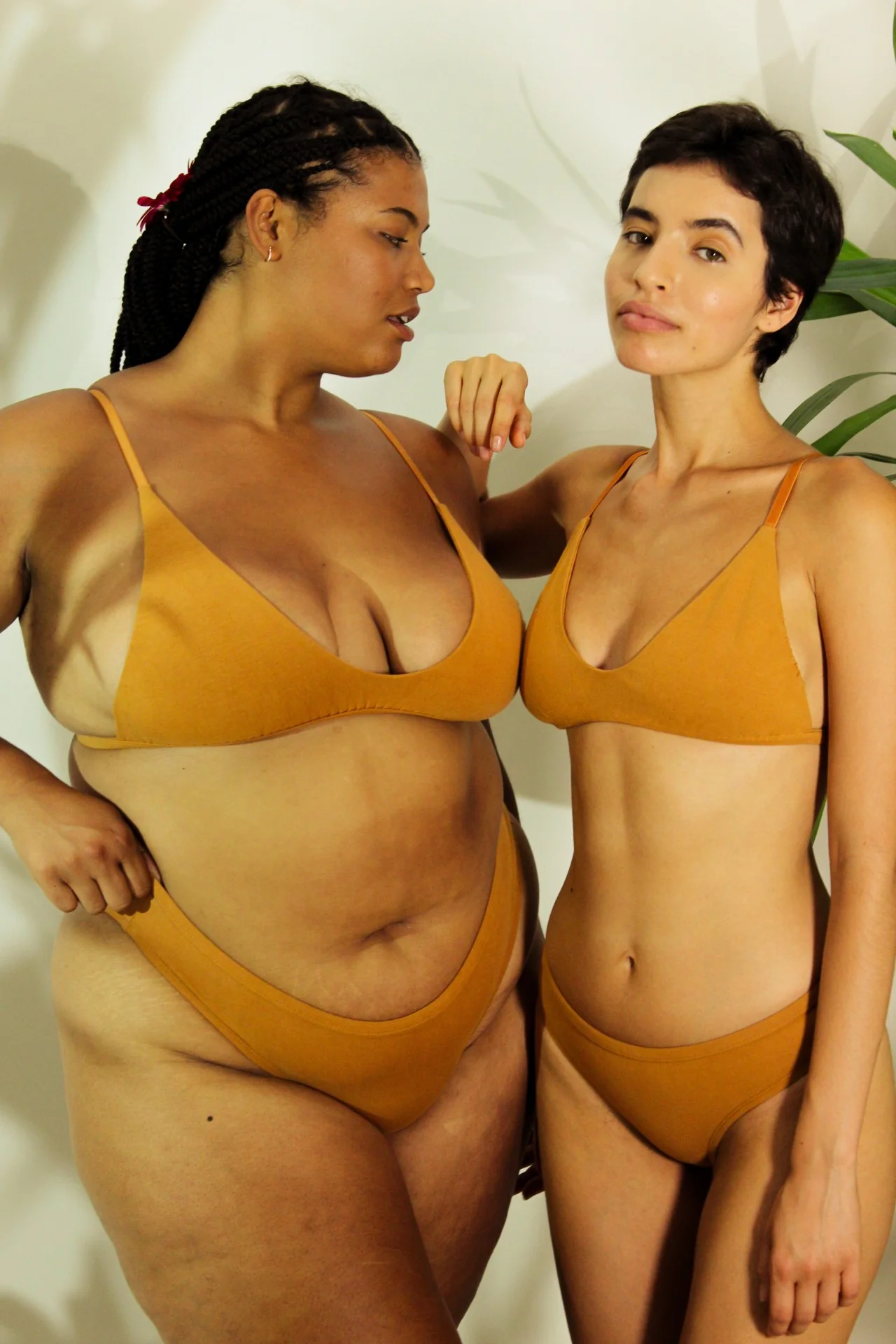 Shanta Bikini Bra & Brief Set - Ashwagandha Root Blend - Image 10