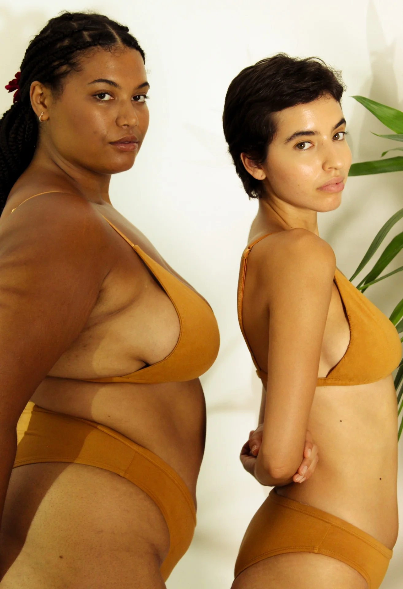 Shanta Bikini Bra & Brief Set - Ashwagandha Root Blend - Image 17