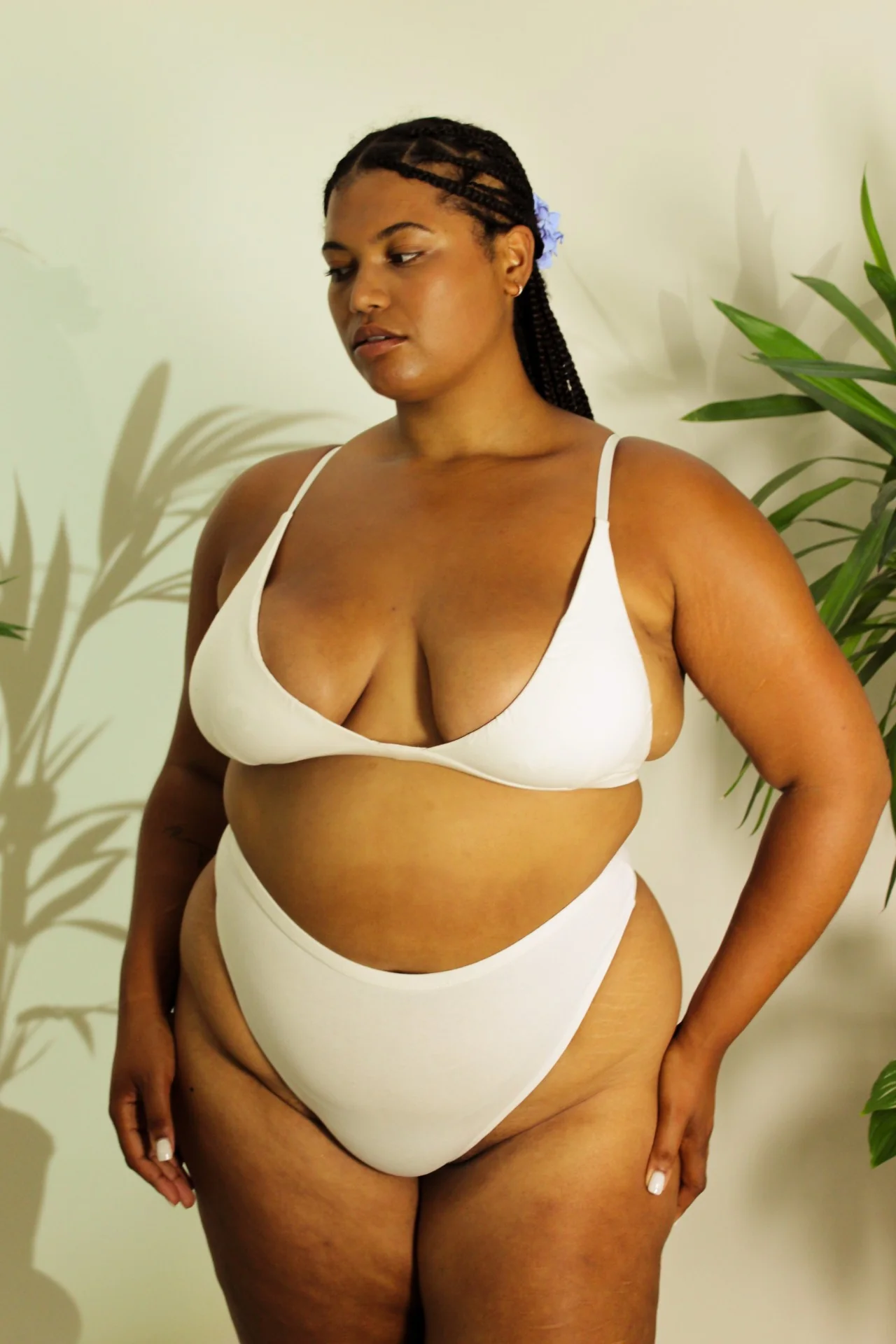 Shanta Brief - Neem Leaf Blend - Image 3