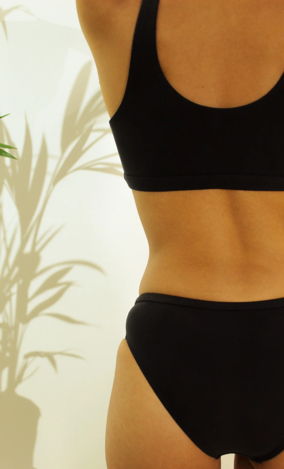 Shanta Brief - Vetiver Blend - Image 18