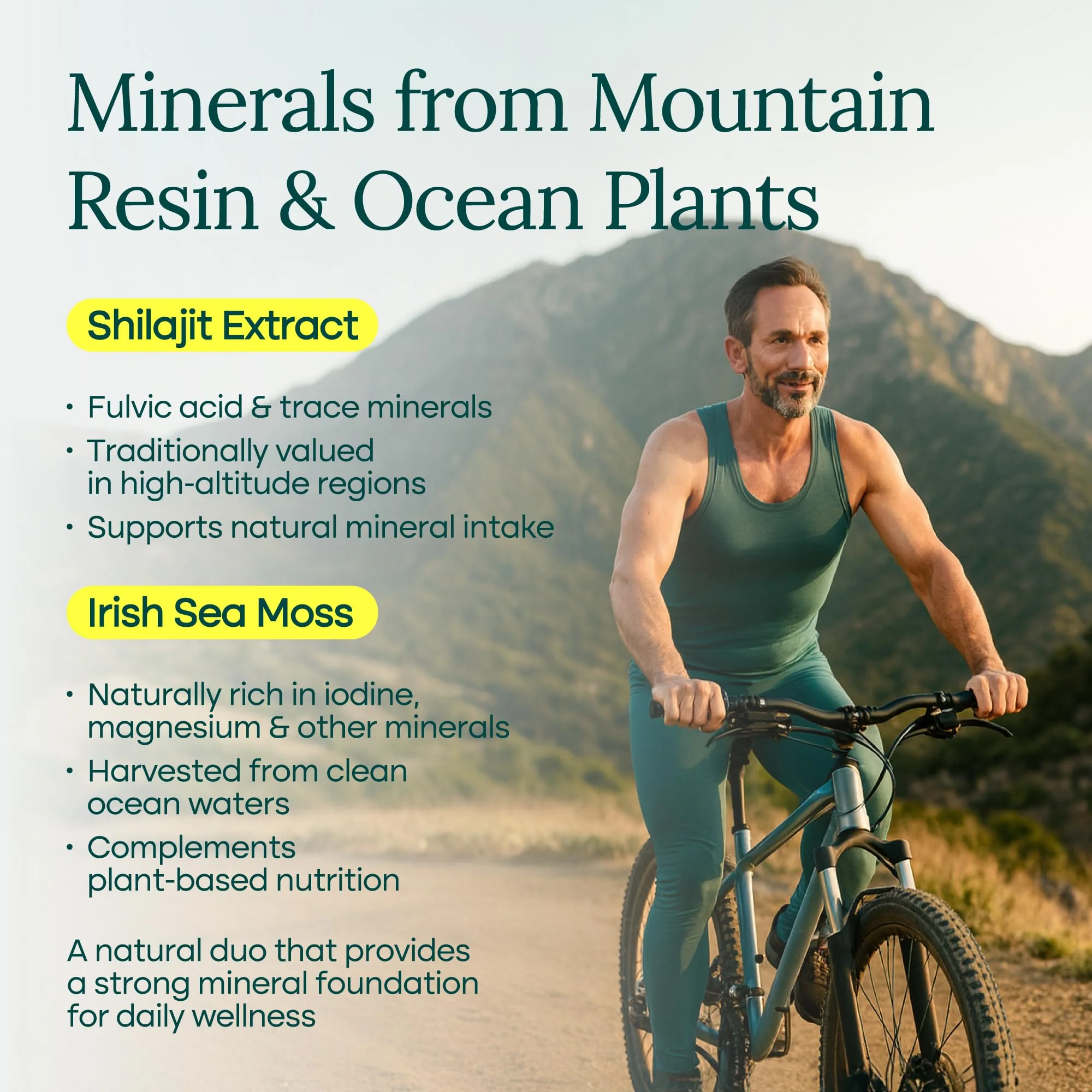 Urolithin-A Complex w Shilajit, Organic Sea Moss, Ashwagandha & Tongkat Ali - Image 6