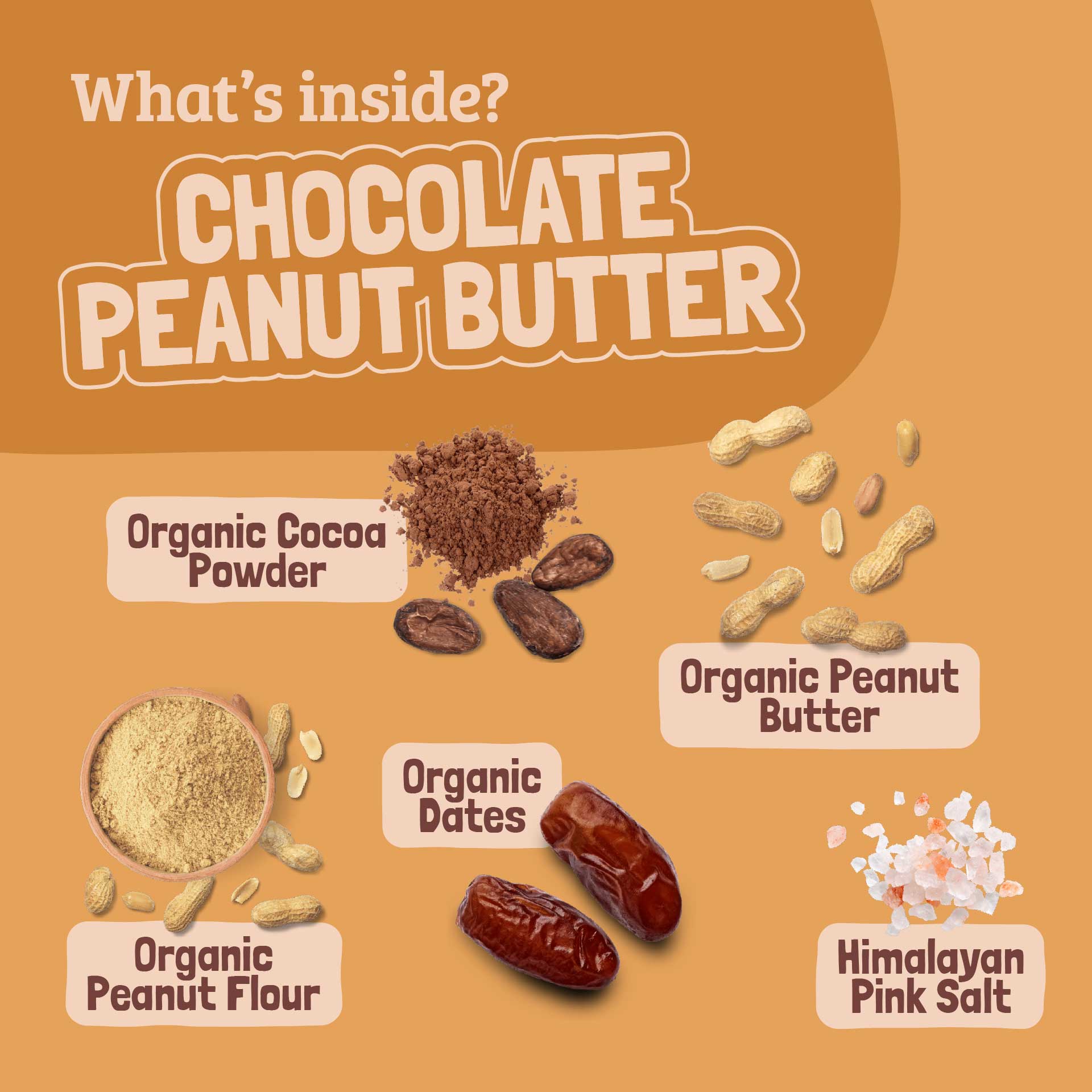 Skout Organic Chocolate Peanut Butter Kids Bar - Image 5