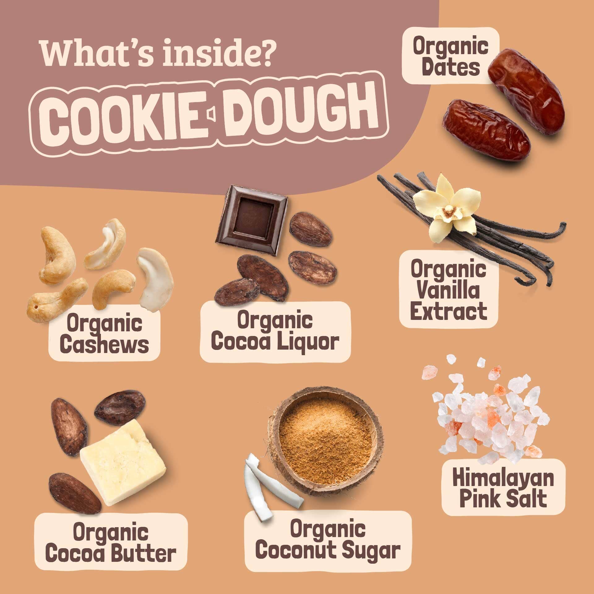 Skout Organic Cookie Dough Kids Bar - Image 5