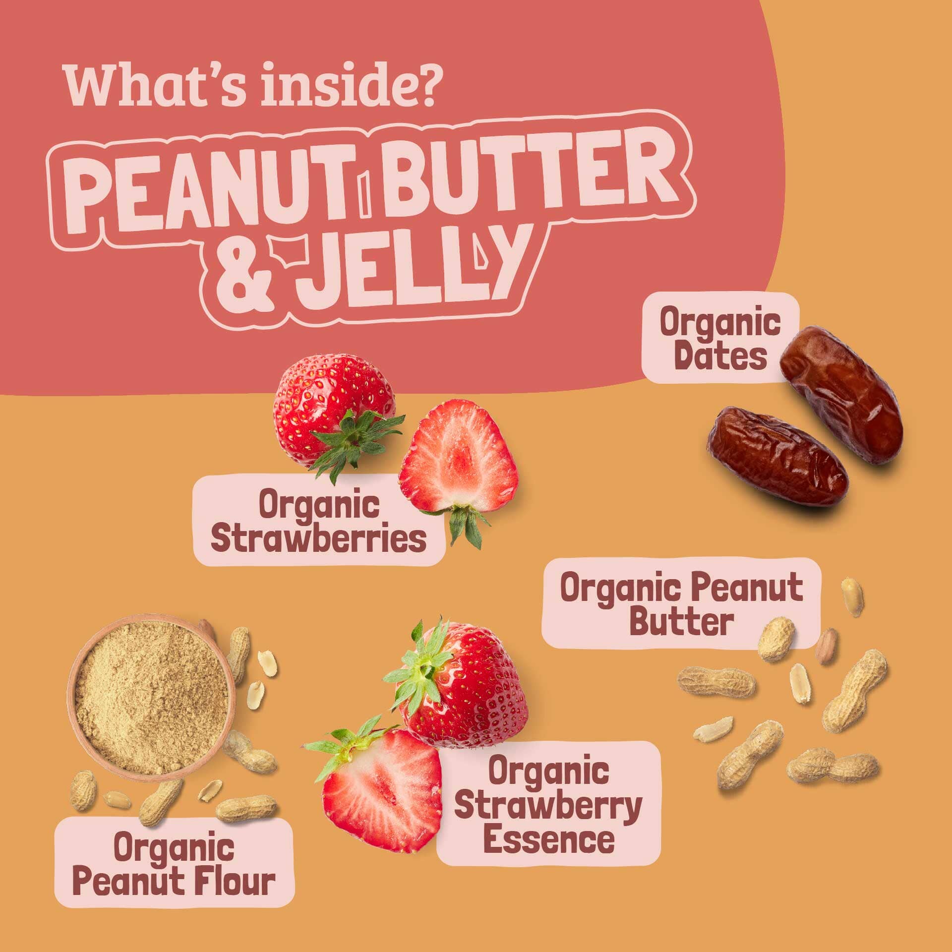 Skout Organic Peanut Butter & Jelly Kids Bar - Image 5