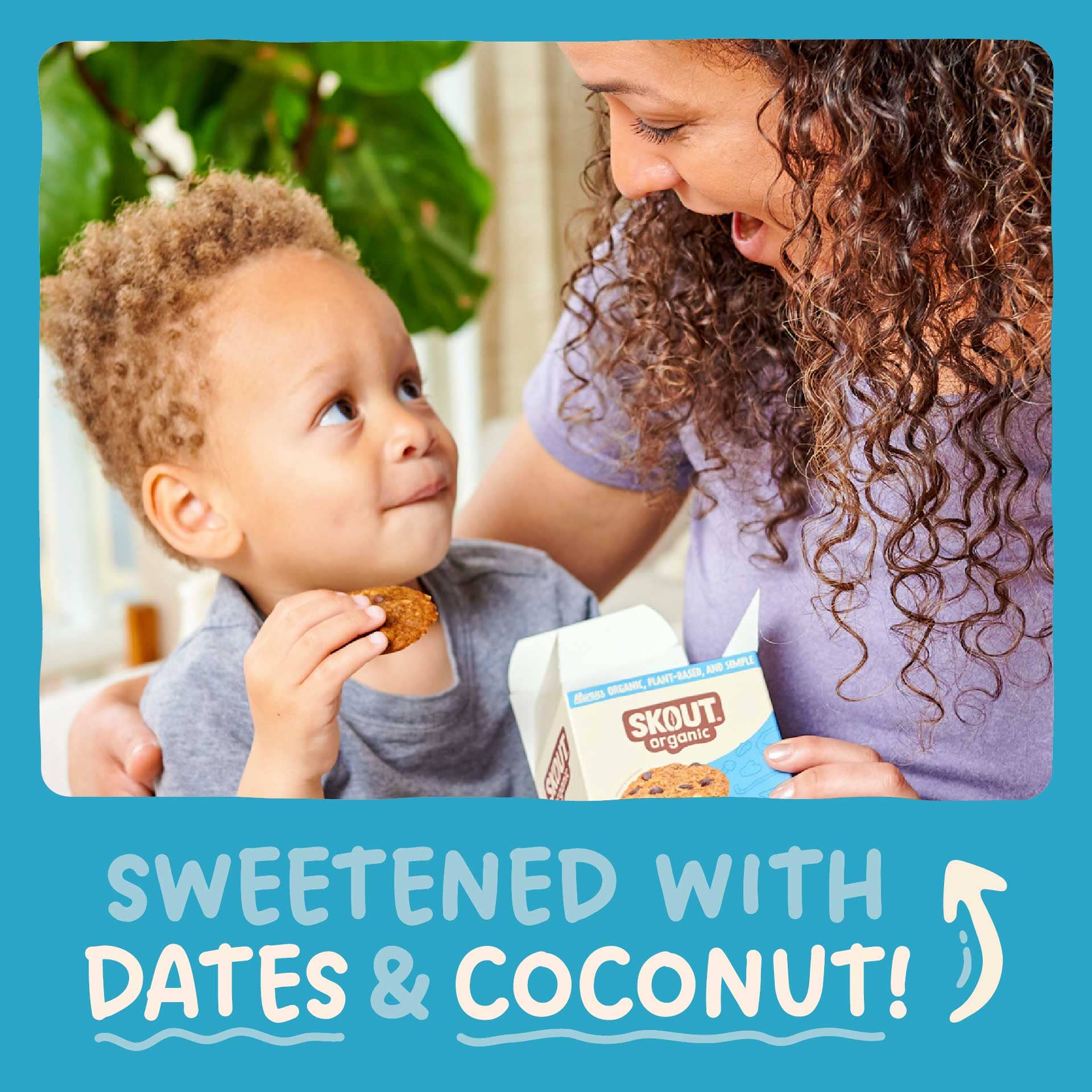 Skout Organic Soft Baked Cookie Variety Pack - Image 5