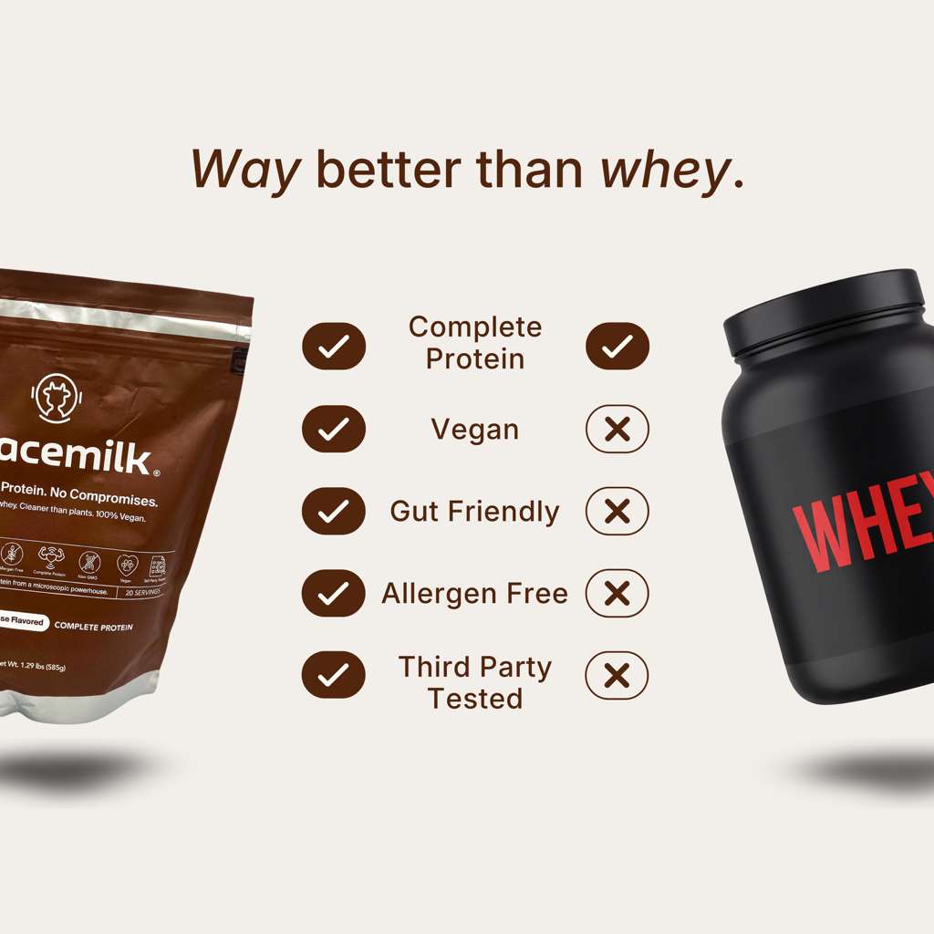 Protein | Chocolate Mousse - Image 4