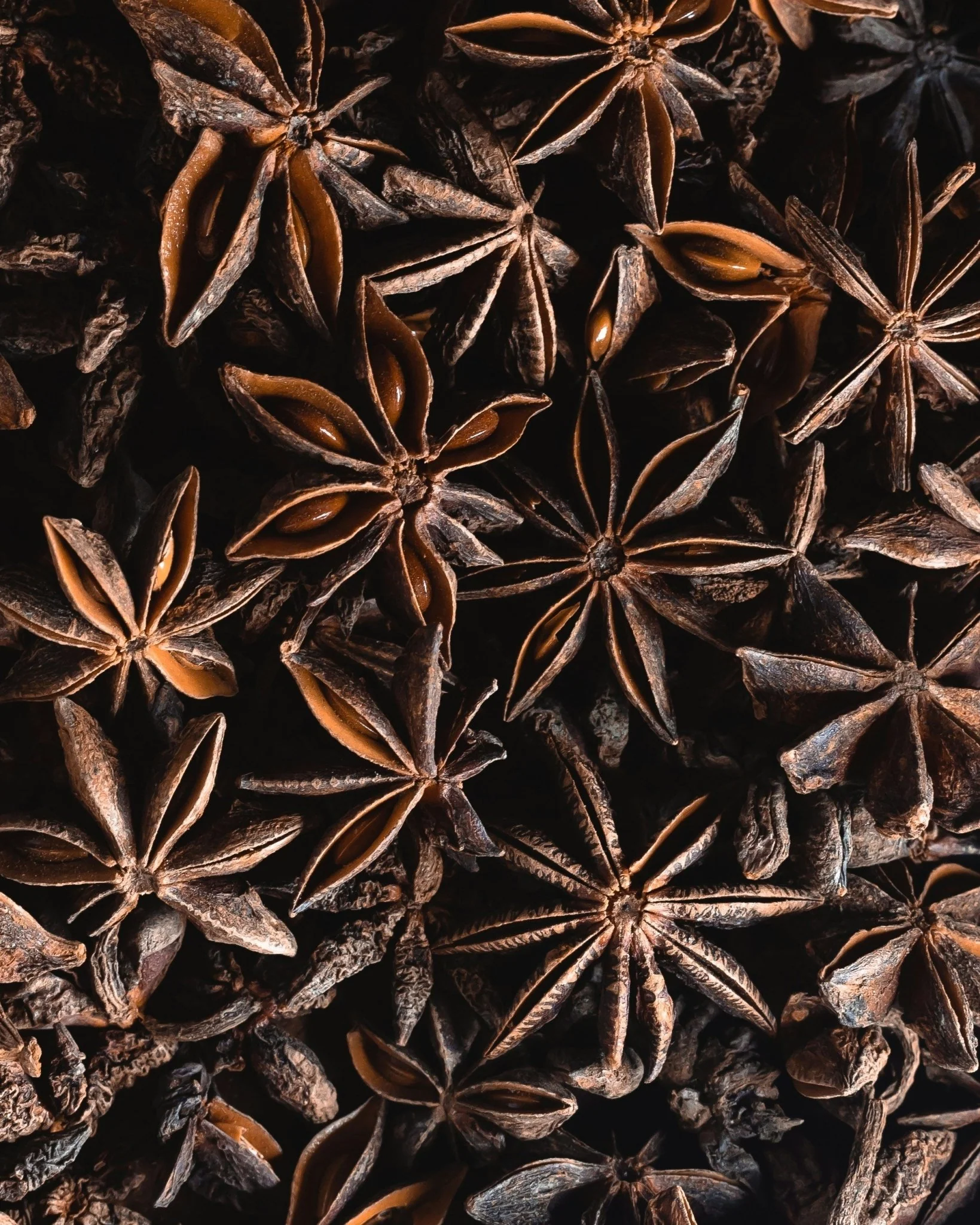 Star Anise 0.5 Oz (14.5 grams) - Image 2
