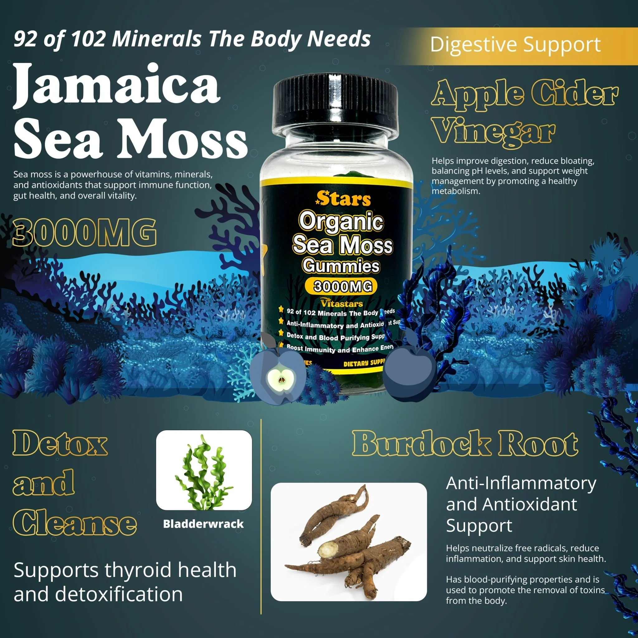 Stars Organic Sea Moss Gummies + Bladderwrack Burdock Root & Apple Cider Vinegar - Image 2