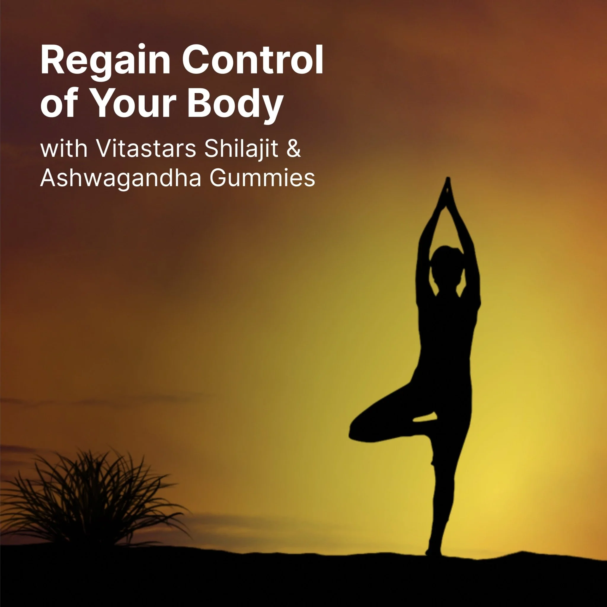 Stars Work. Life. Balance. Shilajit & Ashwagandha Gummies + Chaga Mushroom Vitamin D2 & B12 - Image 10