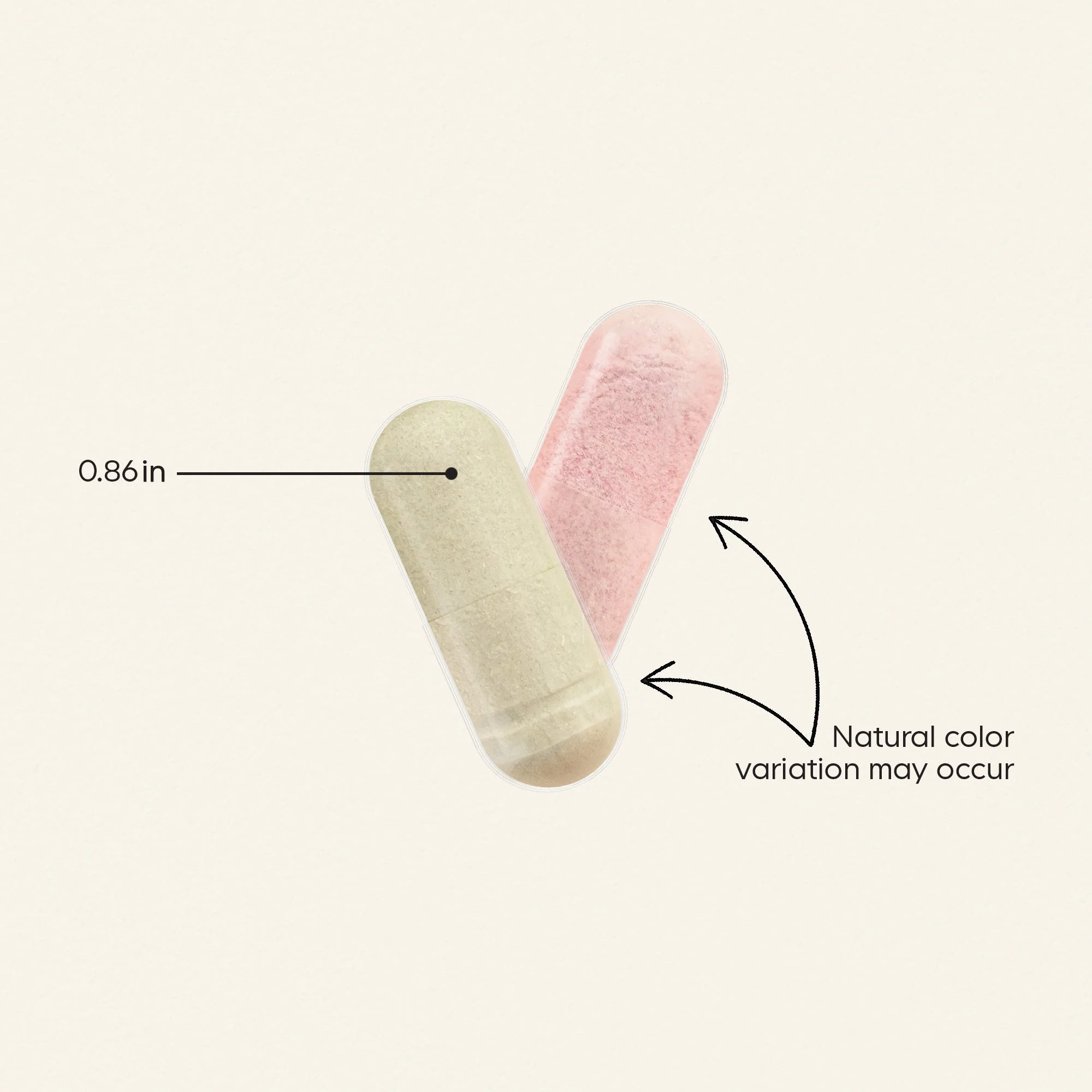 Teen’s Daily Multivitamin - Image 5