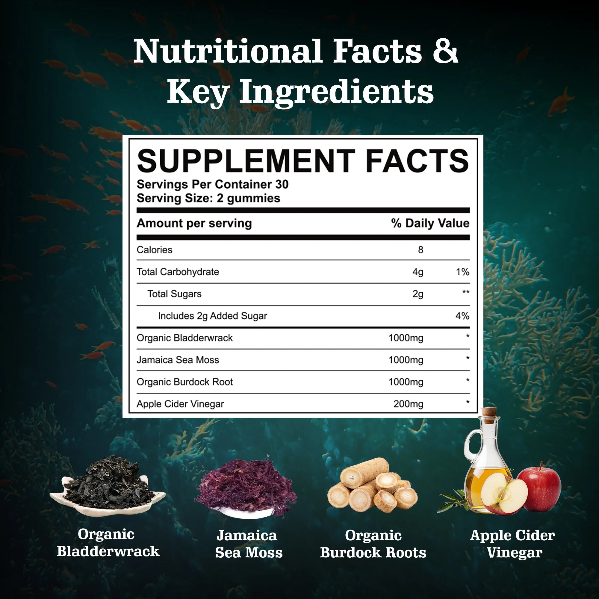 Total Body Wellness: Immune Support, Digestive Health, Energy & Multivitamins, Black Seed Oil, Sea Moss, Shilajit & Omega 3 Gummies, 4-Pack - Image 10