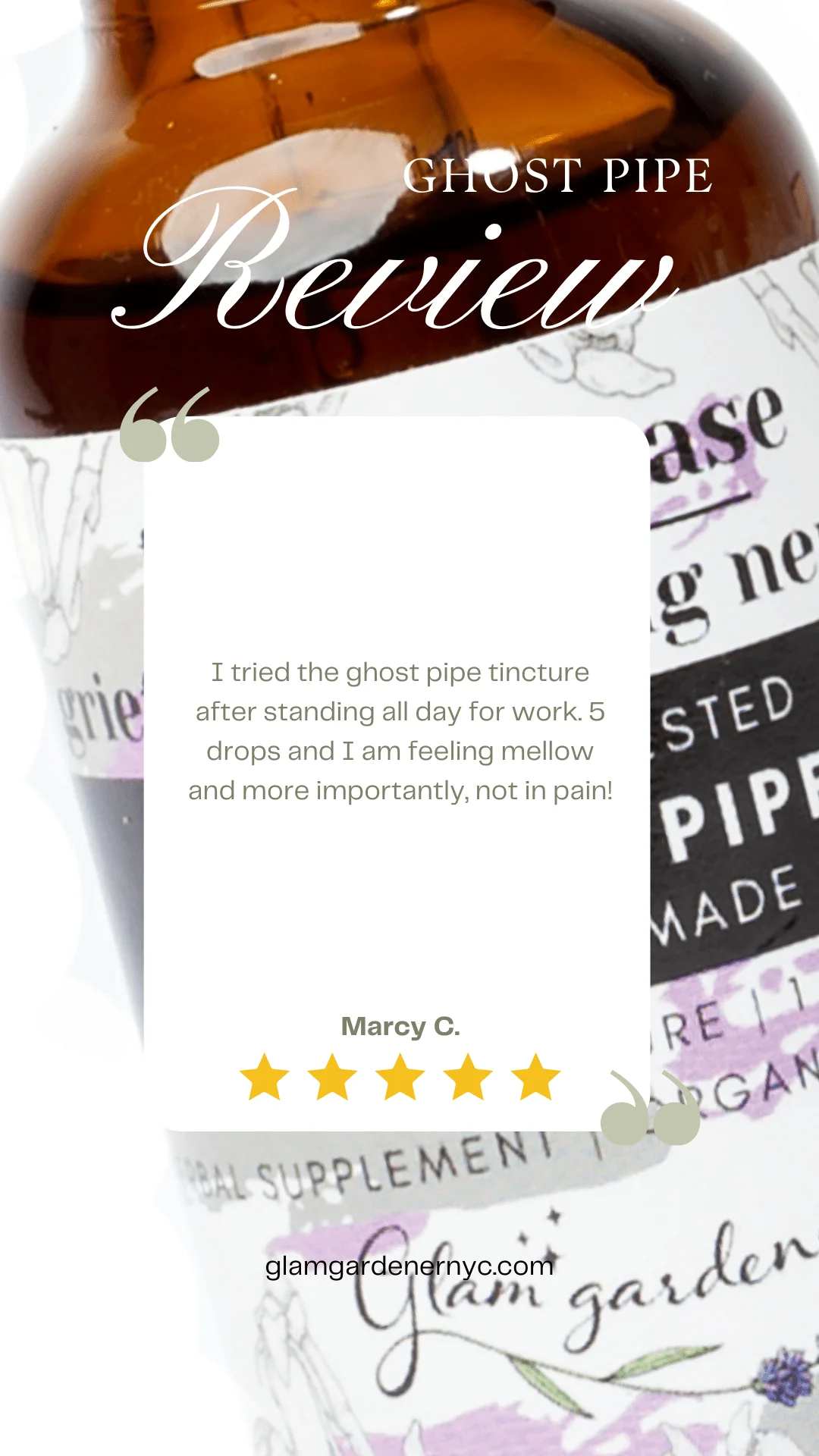 Total Release: Ghost Pipe Herbal Tincture - Image 4