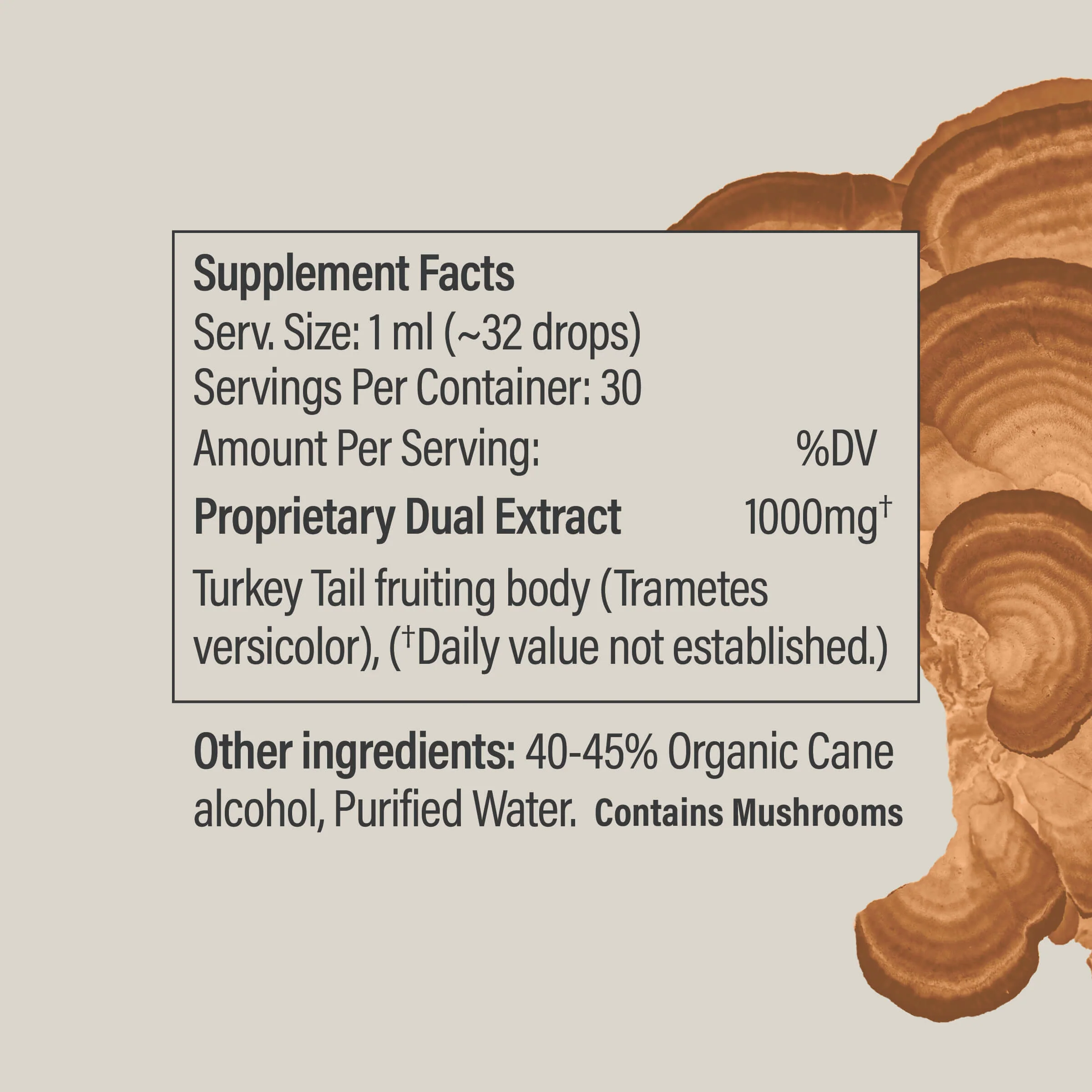 Turkey Tail Tincture - Image 3