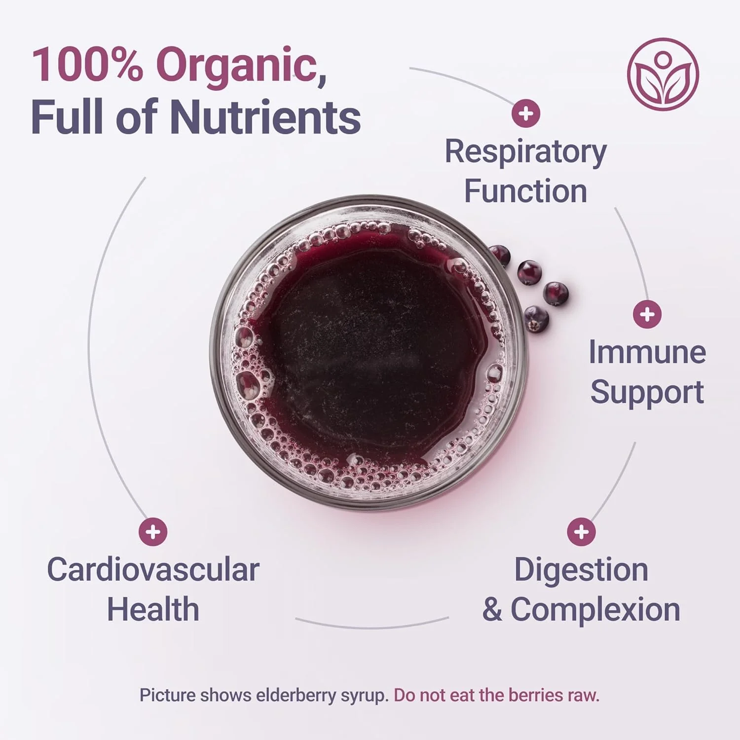 USDA Certified Organic Dried Elderberries - Bulk - 1 lb - Natural Ingredients - Image 5