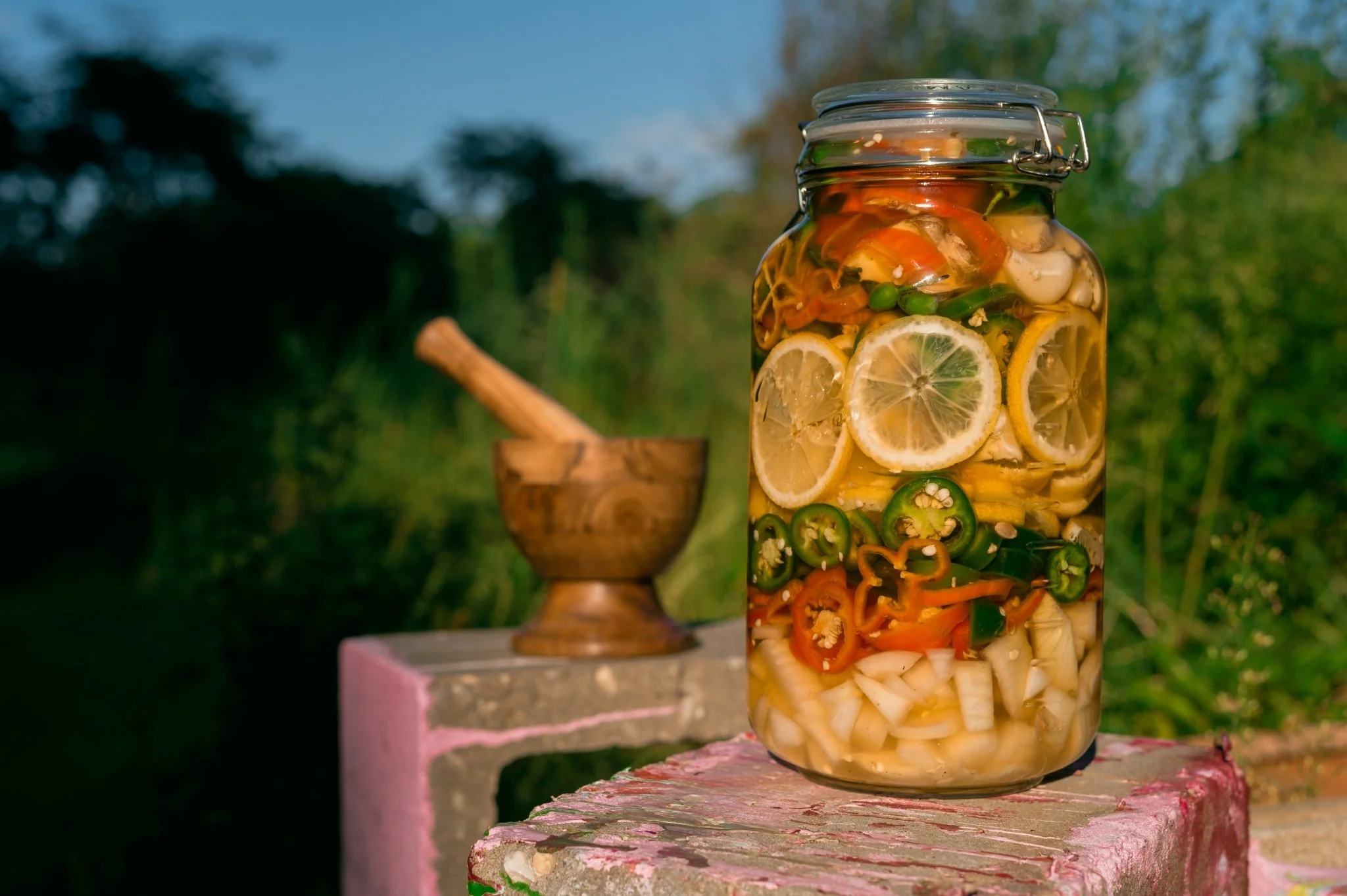 VEGAN FIRE CIDER • Superfood infused daily wellness tonic | Unsweetened with no honey - Image 5