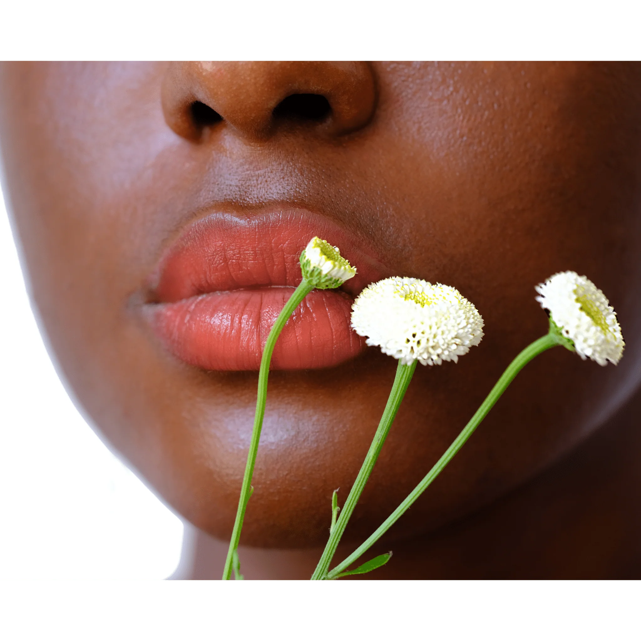 Vegan Multistick Makeup for Cheeks & Lips - Image 6