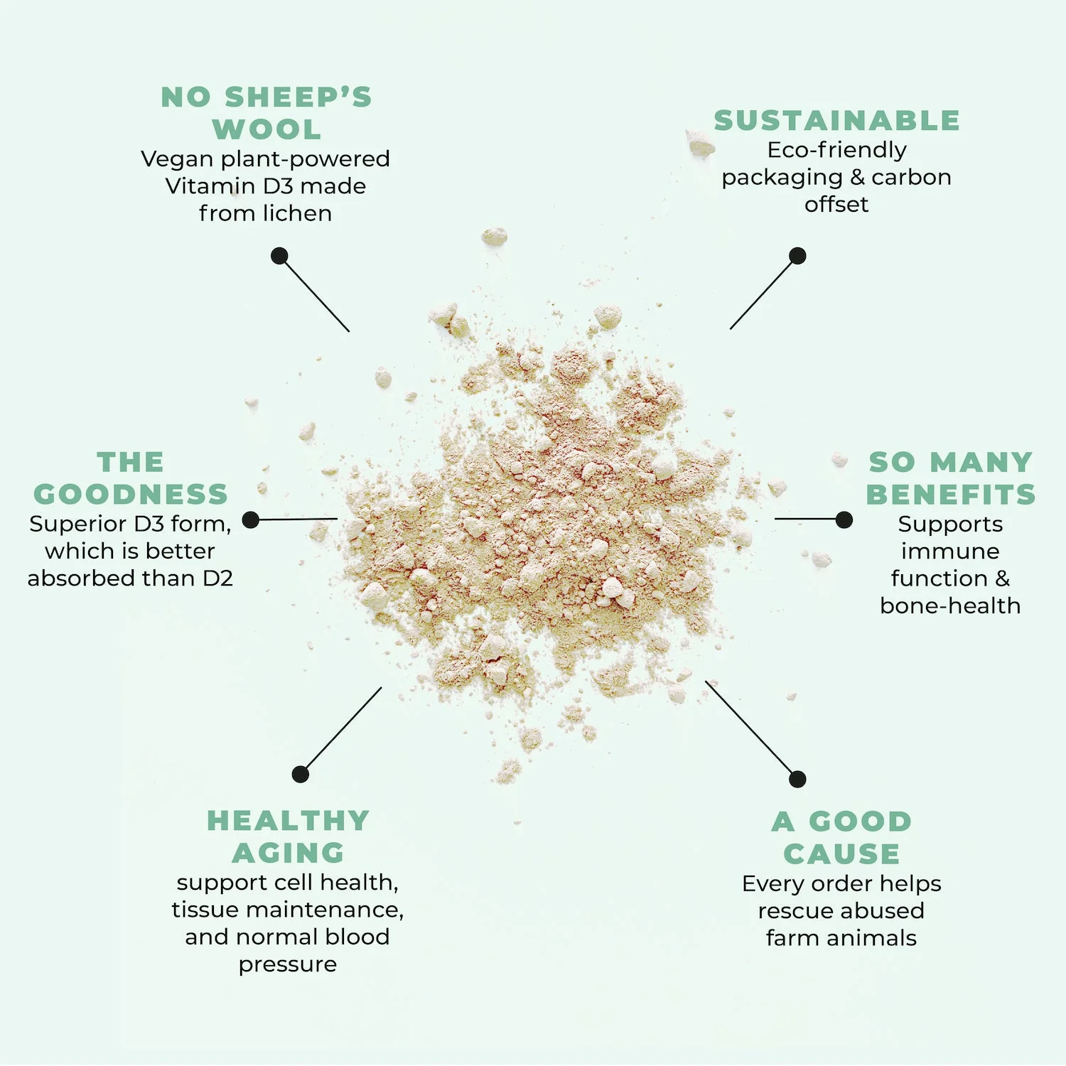 Vegan Vitamin D3 Supplement - Image 8