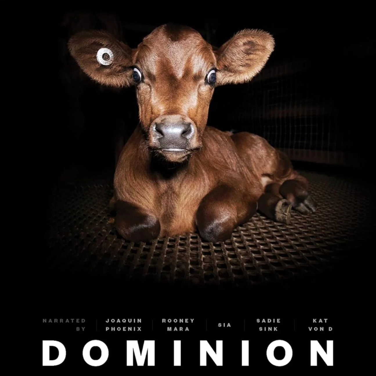 Watch Dominion QR Code Sweatshirt - Image 3