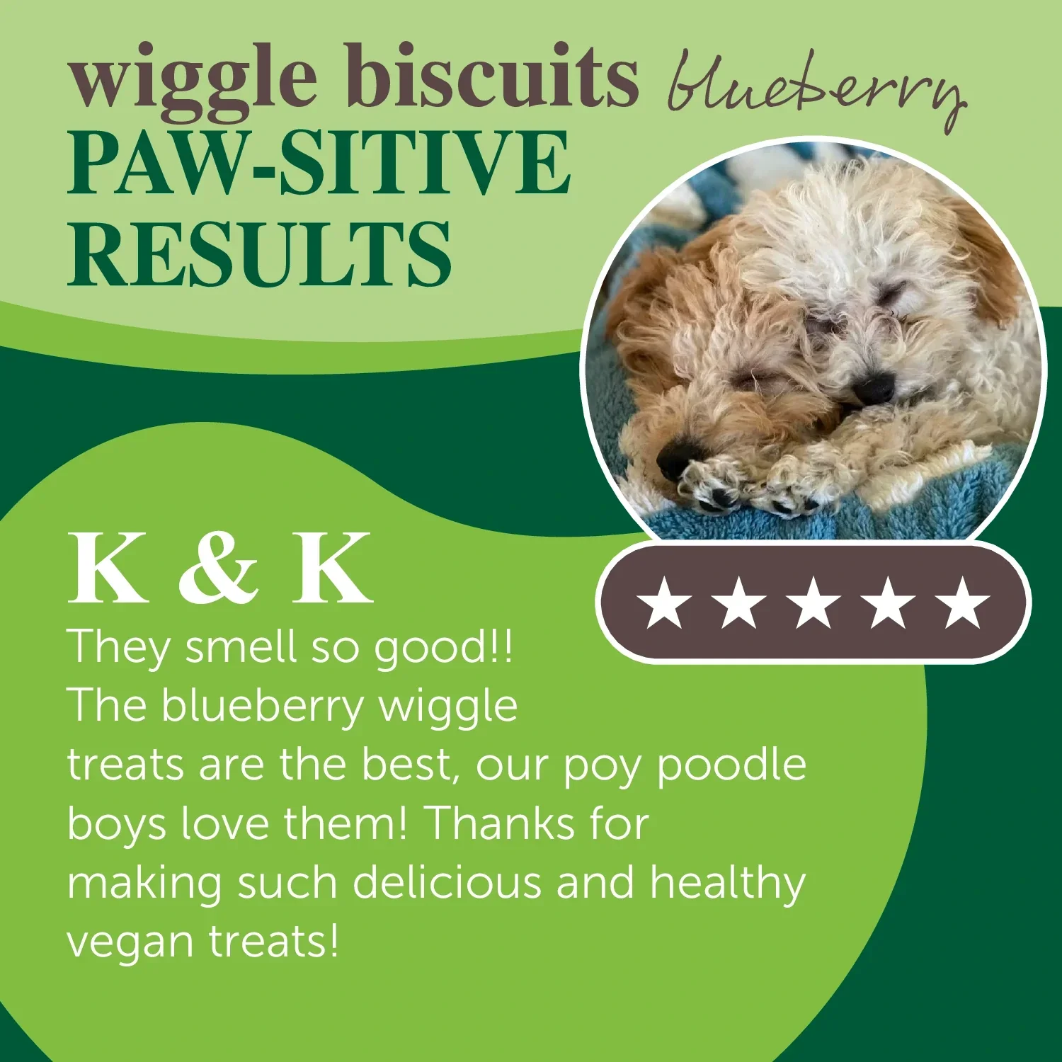 wiggle biscuits - blueberry - Image 6
