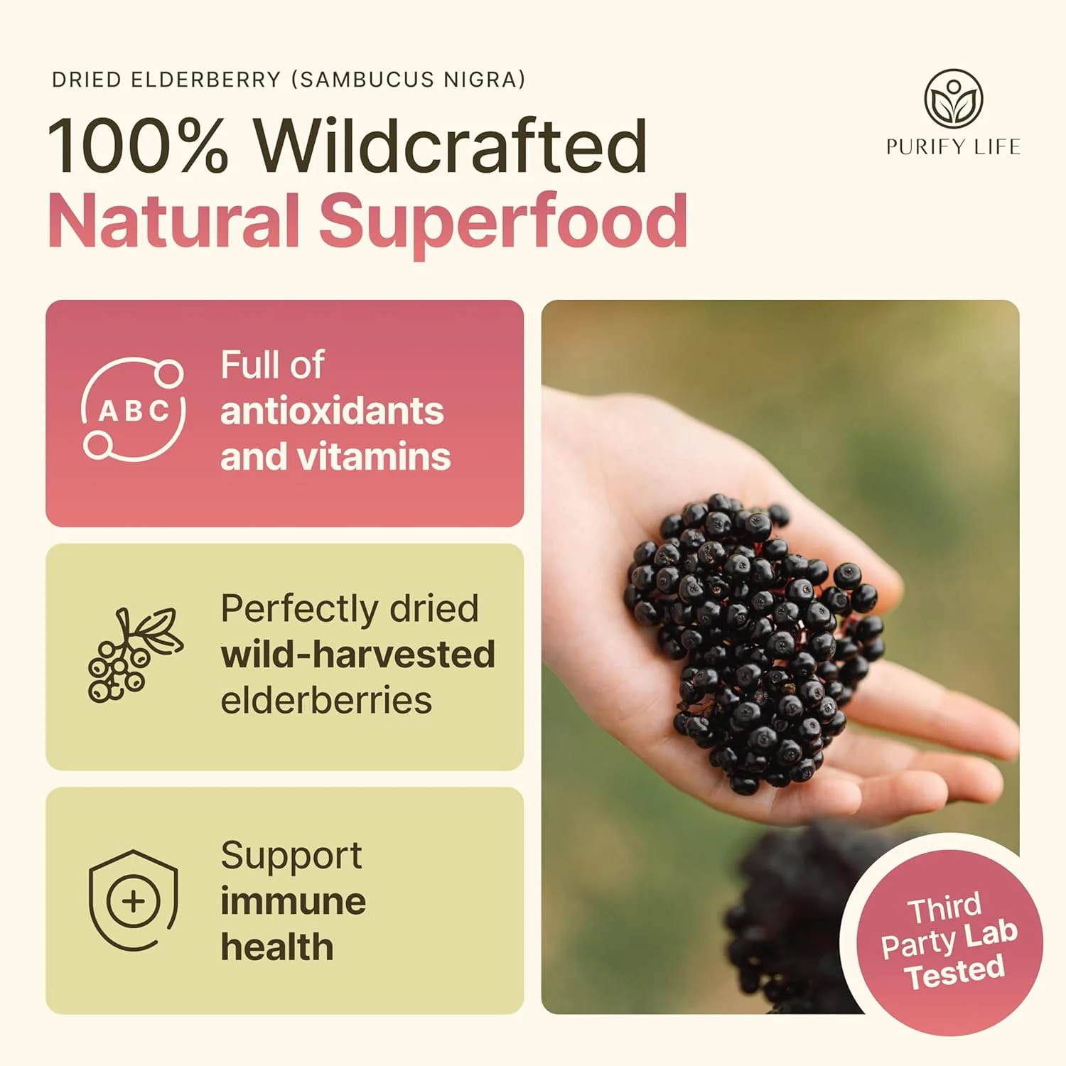 Wildcrafted Dried Elderberries - Bulk Supply - 1lb - Natural High Quality Ingredients - Image 3
