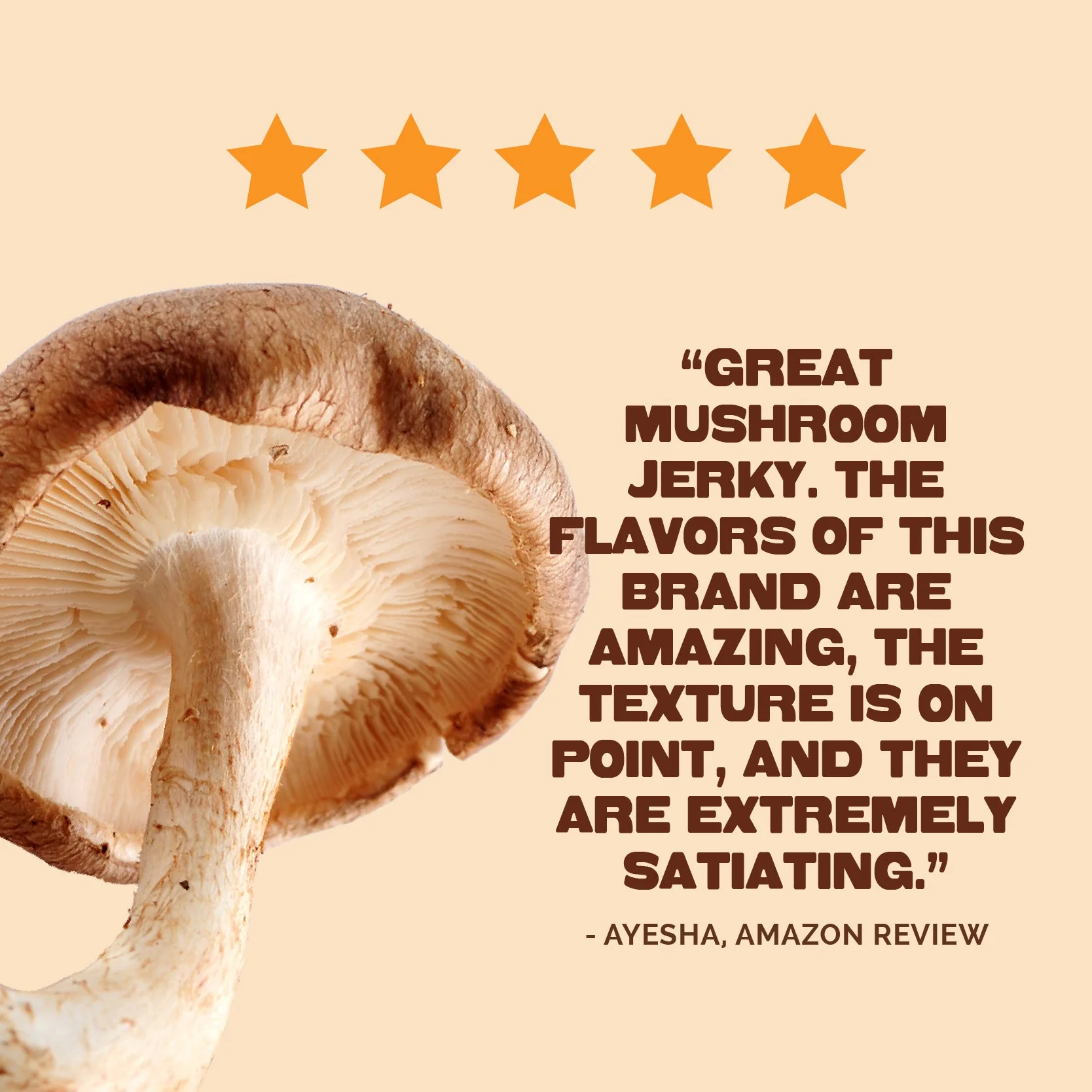 Zesty Thai Mushroom Jerky - Image 7