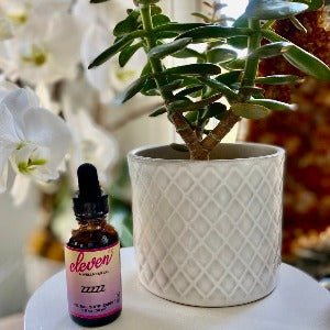 ZZZZZ Sleep Tincture (Melatonin Free) | 1 oz - Image 2